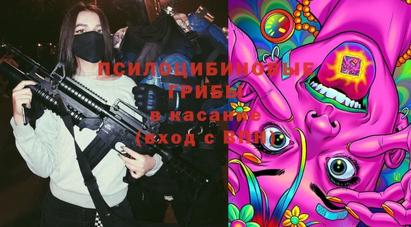 гидра Покровск