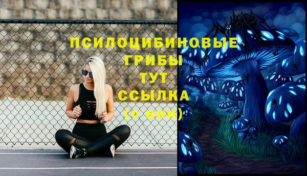соль курить ск Пересвет