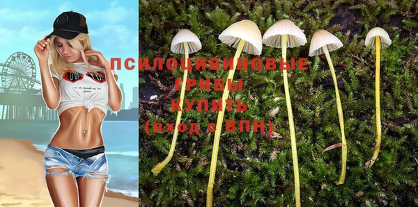 соль курить ск Пересвет