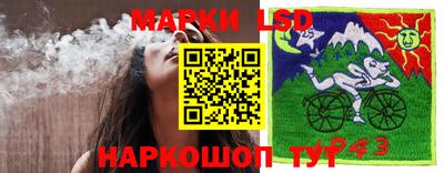 дурь Берёзовский