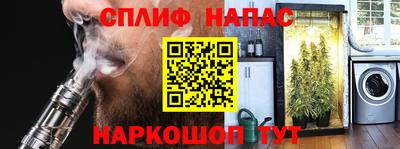 дурь Берёзовский