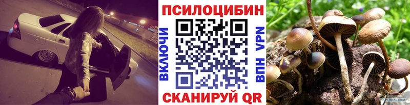 Галлюциногенные грибы ЛСД  Богородск 