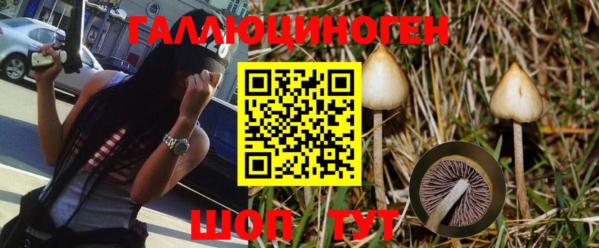 Псилоцибиновые грибы Psilocybine cubensis  Галлюциногенные грибы мухоморы  Богородск  Вход с VPN 